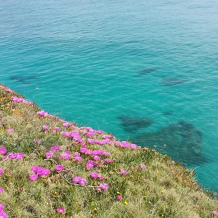 Tower Of The Bear Flat Apartment Torre dell'Orso